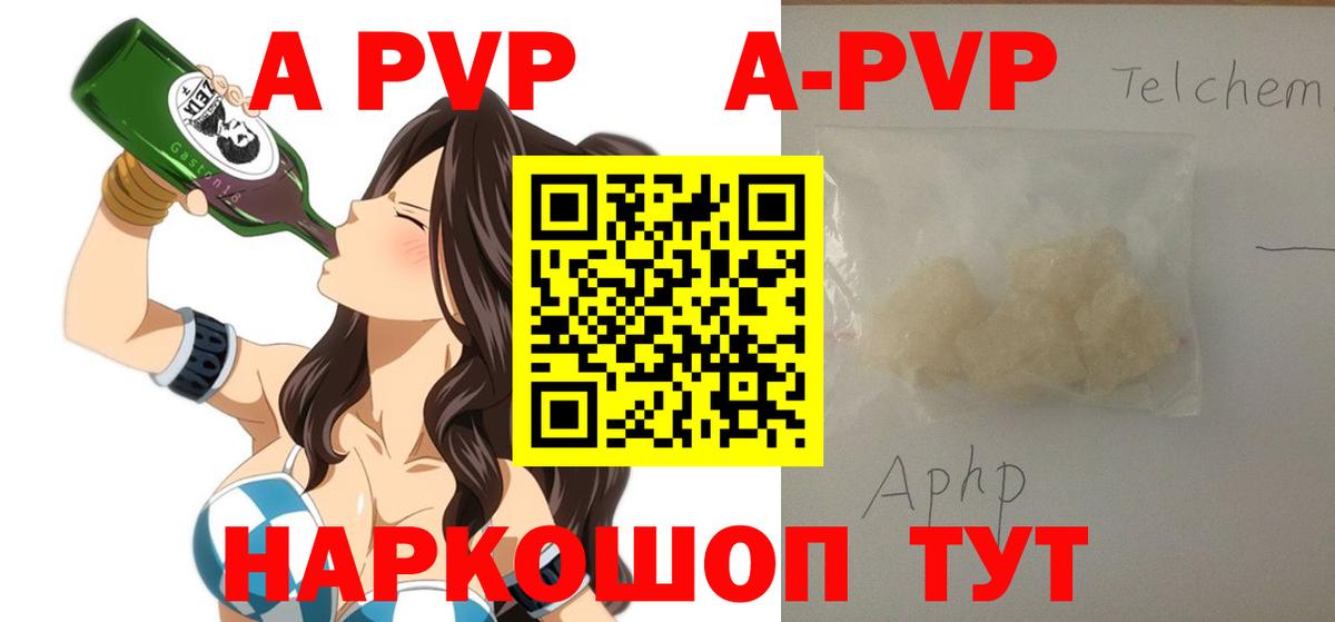 A PVP СК КРИС Архангельск