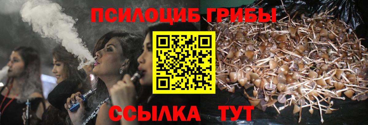 Псилоцибиновые грибы мицелий Архангельск